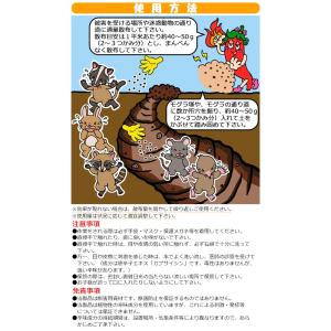 ハクビシン対策 ハクビシンよグッバイ(屋外用)...の詳細画像3