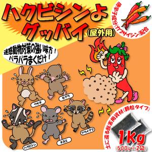 ハクビシン対策 ハクビシンよグッバイ(屋外用)...の詳細画像1