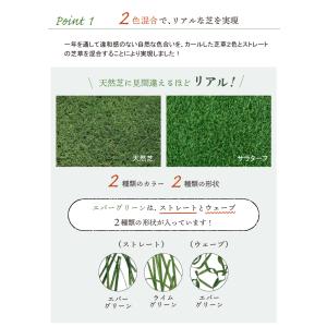 人工芝 ベランダ 施工方法 diy ロール 2...の詳細画像2