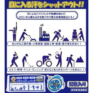 ひたいの汗取りパット(50枚入)20パックセッ...の詳細画像3