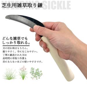 松永製作所 芝生用雑草取り鎌 芝生 雑草 草取...の詳細画像2