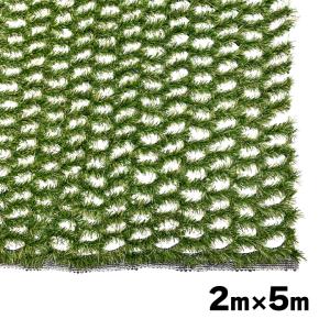 芝生保護材 プロテクトグリーン 2M×5M 留めピン40本付き 芝生保護マット 芝生養生 擦切れ 芝生踏圧保護 通路養生 歩行養生 築山 ゴルフ場 泥除け