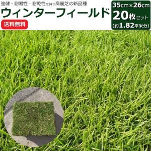 芝 ロール マット 高麗芝 改良種 切り芝 張り芝 ウィンターフィールド 35cm×26cm (20枚) 1.82平米 切芝 芝生 張芝 天然芝 高麗芝 種 スポーツターフ 暖地型芝生