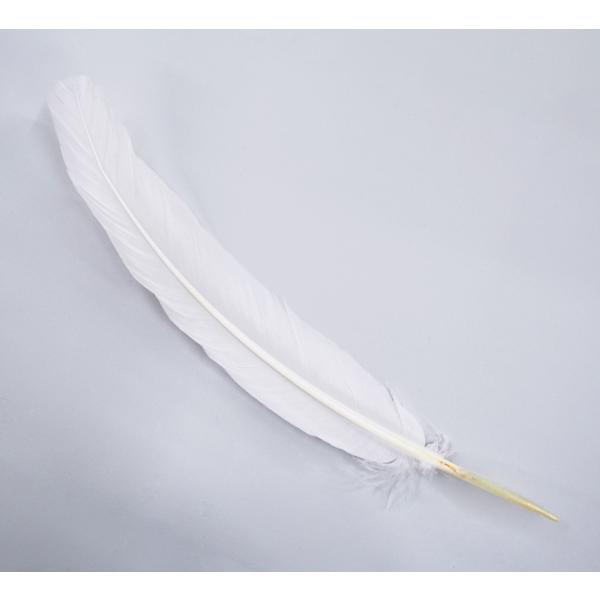 大羽根（白）