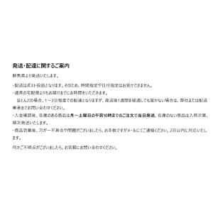 Technics EAH-AZ100 ケース ...の詳細画像4