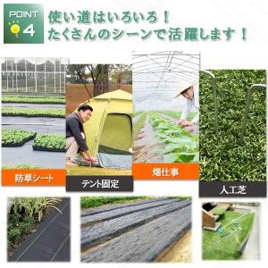 人工芝 ピン 押さえピン 50本 U字ピン 防...の詳細画像5
