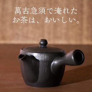 萬古焼 便利急須】 ようがん 茶ガラの捨てやすい急須(カップ網) : スズ