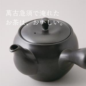 萬古焼 松鶴紋漢詩彫 横手急須 清泉堂 酔月造（四日市無形文化財