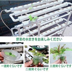 水耕栽培キット 野菜 栽培キット すいこう栽培...の詳細画像4