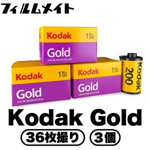 Kodak（コダック） Gold ISO200 36枚撮り 1個 (kodak ゴールド ISO200