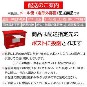 コロニル 1909 ファインポリッシングブラシ...の詳細画像4