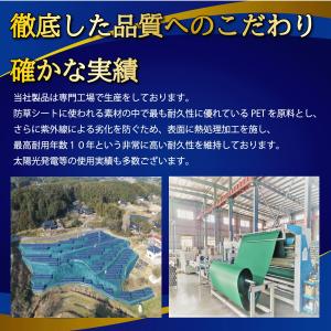 防草シート 1m×30m 300g/m2 高耐...の詳細画像1