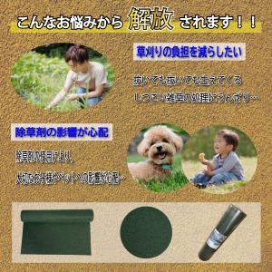 防草シート 600g/m2 【1.1m×35m...の詳細画像2