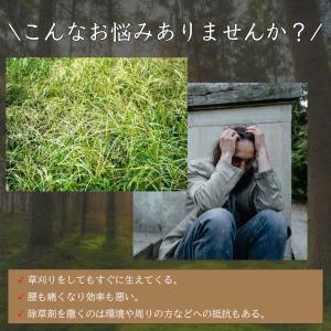 防草シート 1m×50m 100g/m2 PP...の詳細画像1