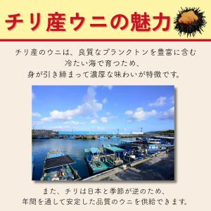 無添加 生うに 200g100g×2 ウニ 雲...の詳細画像4
