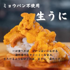 無添加 生うに 200g100g×2 ウニ 雲...の詳細画像3