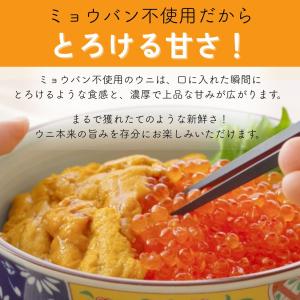 無添加 生うに 200g100g×2 ウニ 雲...の詳細画像5