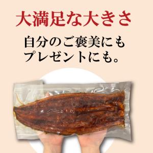 【どどんと2尾入り!】特大うなぎ長焼き 600...の詳細画像2