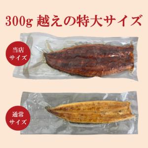 【どどんと2尾入り!】特大うなぎ長焼き 600...の詳細画像3