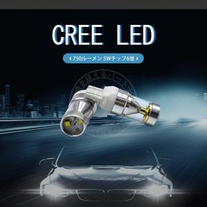 LED 750lm フォグランプ ブレーキ ウインカー バック 2個入り