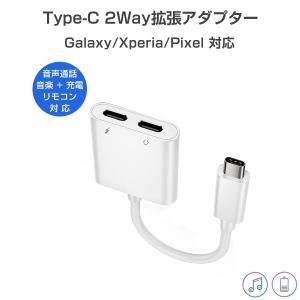 ipad proイヤホン変換アダプター 2in1 ケーブル Type C イヤホン