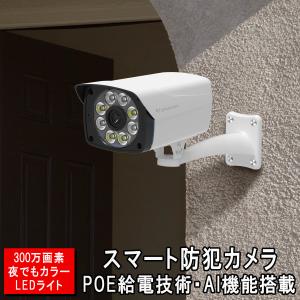 防犯カメラ CS54-PoE監視カメラ LANケーブルPOE給電