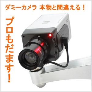 ダミー 防犯カメラ 監視カメラ 威嚇 LED点灯
