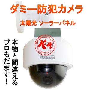防犯 カメラ Ball ダミーカメラ ドーム型　威嚇点灯