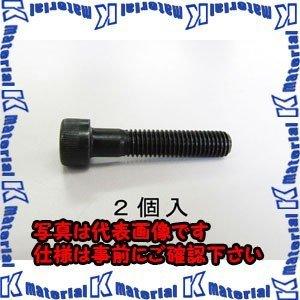 【代引不可】【個人宅配送不可】ESCO(エスコ) M6 x40 [高強度・高張力]六角穴付ボルト E...