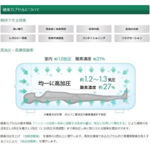 家庭用〜業務対応 酸素カプセル OXYRIUM...の詳細画像2