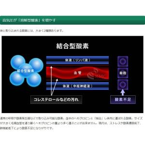 家庭用〜業務対応 酸素カプセル OXYRIUM...の詳細画像3