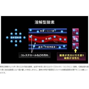 家庭用〜業務対応 酸素カプセル OXYRIUM...の詳細画像4