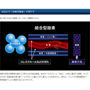 ハイスペック 酸素カプセル OXYRIUM M...の詳細画像4