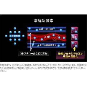 ハイスペック 酸素カプセル OXYRIUM M...の詳細画像5