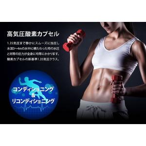 家庭用〜業務対応 酸素カプセル ADJUSTO...の詳細画像1