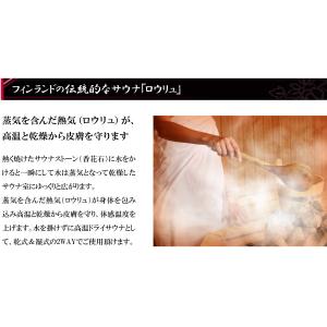 中〜高温・湿式&湿式2WAY 熱気フィンランド...の詳細画像2