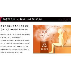 中〜高温・湿式&湿式2WAY 熱気フィンランド...の詳細画像3