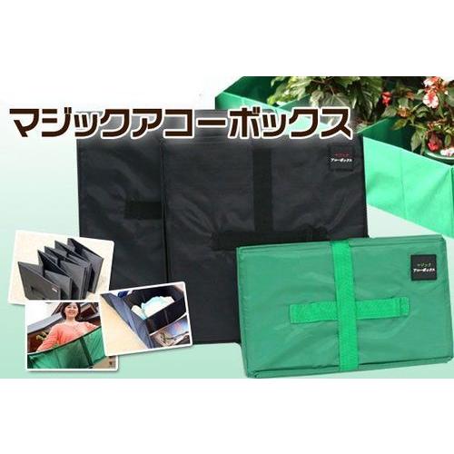 マジック　アコーボックス　Lサイズ(ブラック)　１個