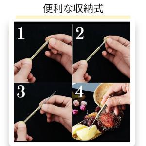 フィッシュピック 釣り 釣具 チタン製 ピック...の詳細画像3