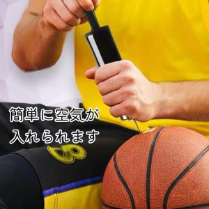 空気入れ 小型 携帯 手動ポンプ コンパクト ...の詳細画像5