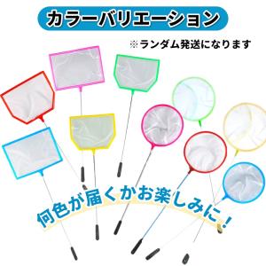 密網フィッシュネット 2本セット 丸型 角型 ...の詳細画像2