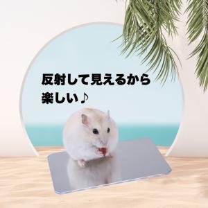 冷感プレート ペット用 アルミ製 ハムスター ...の詳細画像4