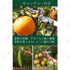 高枝切りバサミ たかえだきりばさみ 高枝のこぎ...の詳細画像5