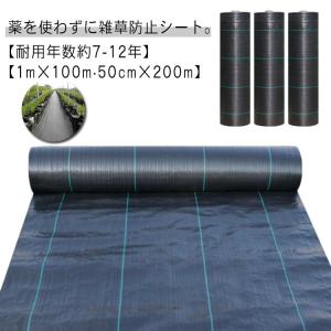 50cm×200m 雑草 防草シート 除草シート ロール 人工芝 生えない 畑 雑草防止シート 庭 ガーデニング 草よけシート 農用シート UV剤入り 農業 園芸用