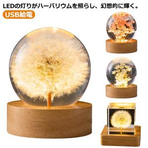 クリスタルハーバリウム ハーバリウム ライト LED台座付き 母の日 ギフト ホワイトデー 誕生日 木製 結婚記念日 造花 タンポポ デージー ドライフ