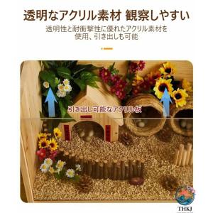 爬虫類ケージ 通気性テラリウム 大型ハムスター...の詳細画像2