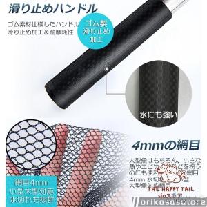 タモ網 玉網 タモ網 ランディングネット伸縮式...の詳細画像3