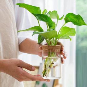 水栽培 フラワーベース 容器 花瓶 水耕栽培 ...の詳細画像3