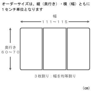 サイズオーダー さめにくい風呂ふた ECOウォ...の詳細画像1