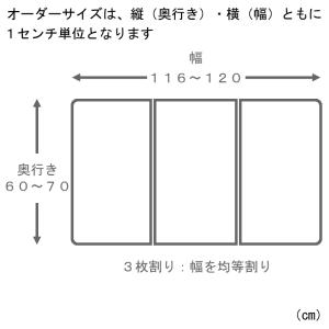 サイズオーダー さめにくい風呂ふた ECOウォ...の詳細画像1